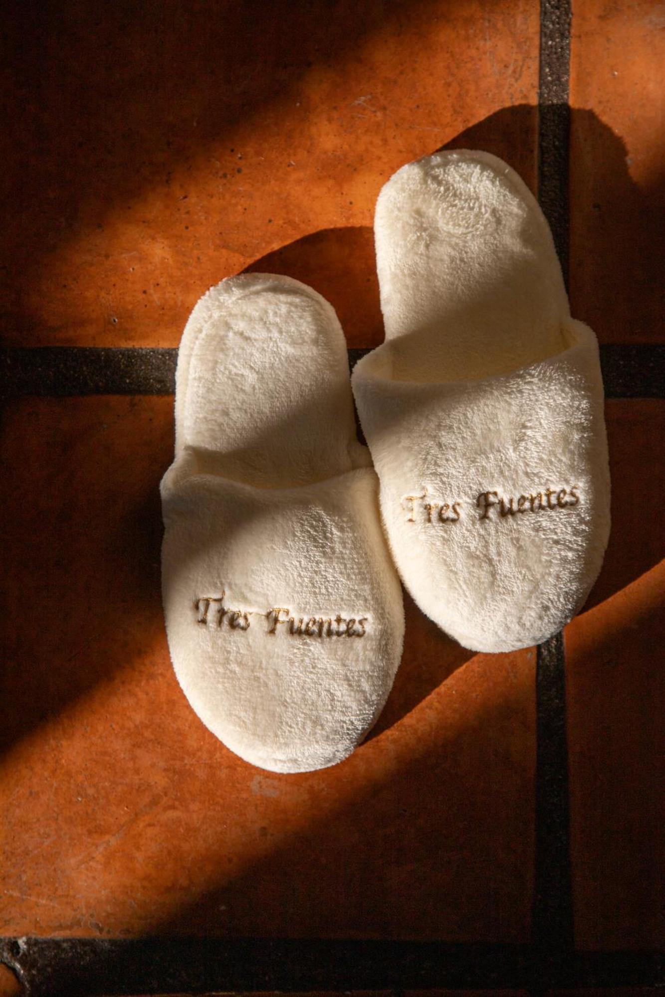 Tres Fuentes Dickinson Hotel Boutique San Miguel de Allende Exterior photo